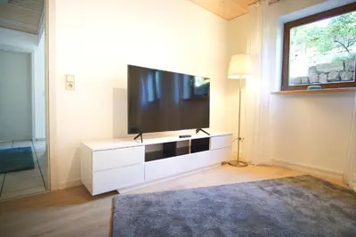 TV/Unterhaltungsangebot in der Unterkunft Ferienwohnung Am Wingert