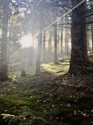 Naturlandschaft in der Nähe der Pension