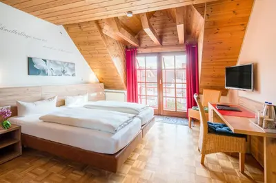 TV/Unterhaltungsangebot in der Unterkunft Hotel-Restaurant Zur Kanne