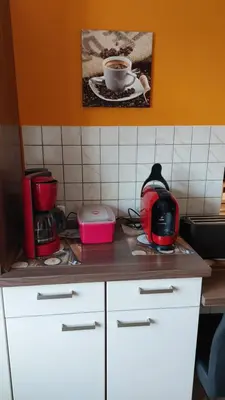 Küche/Küchenzeile in der Unterkunft Ferienwohnung Sonja Sinsheim