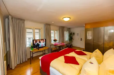 TV/Unterhaltungsangebot in der Unterkunft Hotel Goldener Falke
