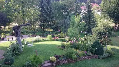 Ein Garten an der Unterkunft Waldhotel Felsentor