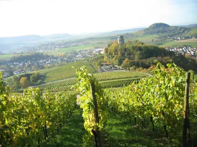 Naturlandschaft in der Nähe des Gasthauses