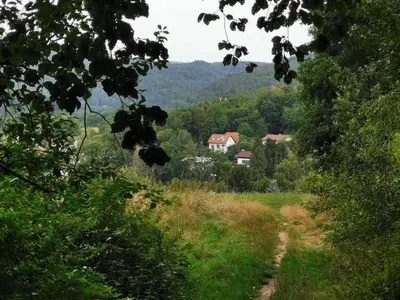 Naturlandschaft in der Nähe der Ferienwohnung