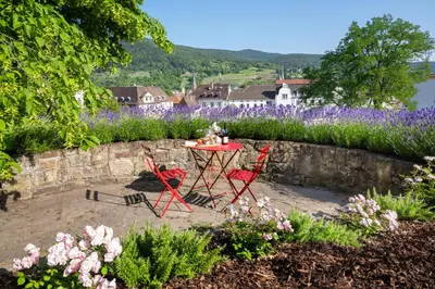 Naturlandschaft in der Nähe der Ferienwohnung