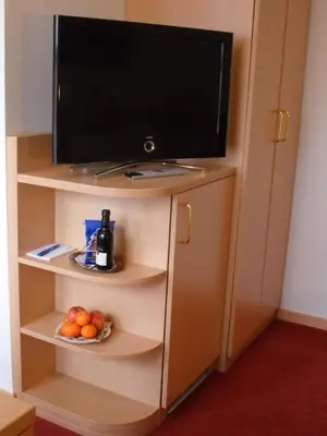 TV/Unterhaltungsangebot in der Unterkunft Hotel Phönix