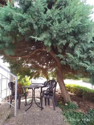 Ein Garten an der Unterkunft Fewo-Nescht