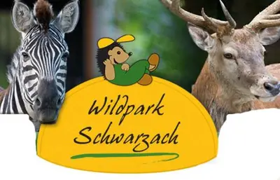 Tiere im Hotel oder in der Nähe