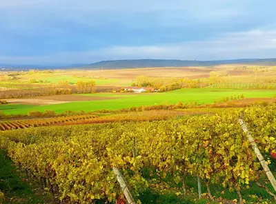 Naturlandschaft in der Nähe des Ferienhauses