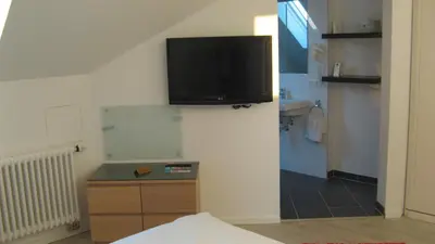 TV/Unterhaltungsangebot in der Unterkunft Hotel Barbarossa Karlsruhe Stadtmitte