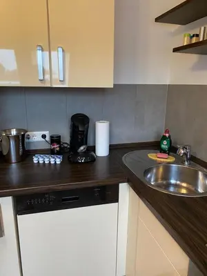 Küche/Küchenzeile in der Unterkunft Ferienwohnung Sinsheim