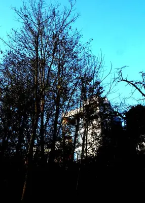 Grundriss der Unterkunft Ferienwohnung im Turm Bellevue mit 3 Schlafzimmern