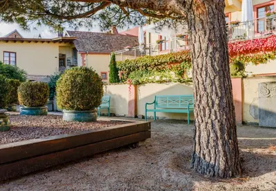 Ein Garten an der Unterkunft Hotel Kollektur