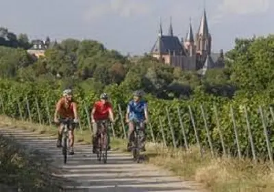 Radfahren an der Unterkunft Best Western Wein- und Parkhotel oder in der Nähe
