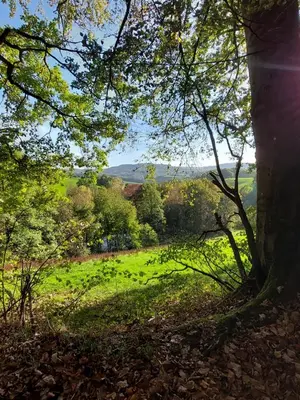 Naturlandschaft in der Nähe der Ferienwohnung