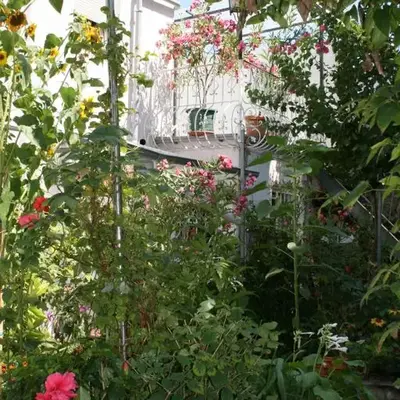 TerasenAppartement