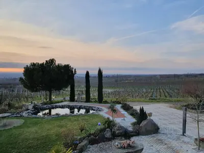 Ein Garten an der Unterkunft Weinhaus Paradies
