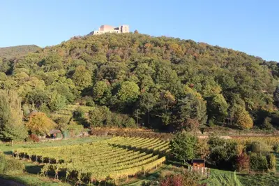 Naturlandschaft in der Nähe des Bed & Breakfasts