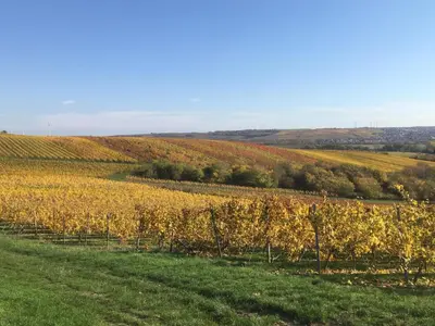 Naturlandschaft in der Nähe der Ferienwohnung