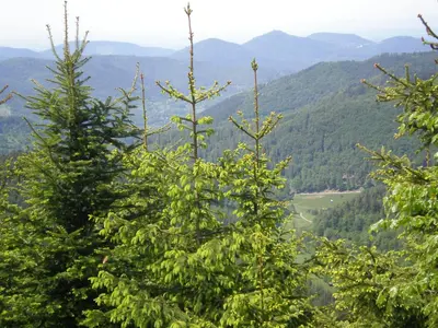 Naturlandschaft in der Nähe der Pension