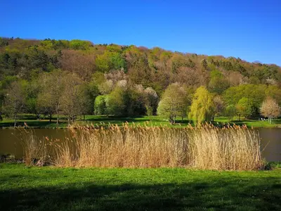 Naturlandschaft in der Nähe der Ferienwohnung
