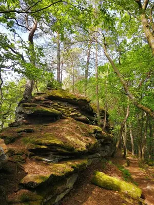 Naturlandschaft in der Nähe der Ferienwohnung