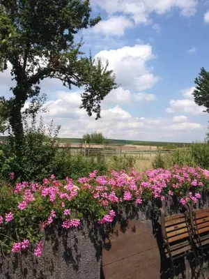 Naturlandschaft in der Nähe der Ferienwohnung