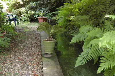 Ein Garten an der Unterkunft Ferienwohnungen Reichholdsmühle
