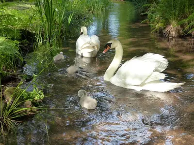 Naturlandschaft in der Nähe der Ferienwohnung