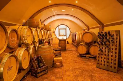 Grundriss der Unterkunft Main-Vinotel Weingut Helmstetter