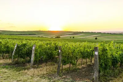Blick auf den Sonnenuntergang/Sonnenaufgang von der Ferienwohnung aus oder aus der Nähe