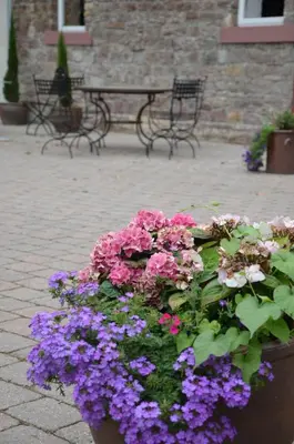 Ein Garten an der Unterkunft Wersauer Hof - Ferme Auberge