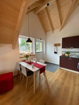 Küche/Küchenzeile in der Unterkunft Ferienwohnung Apfelkrönchen