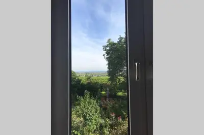 Ein Garten an der Unterkunft Wunderschöne Wohnung mit Blick auf die Weinberge