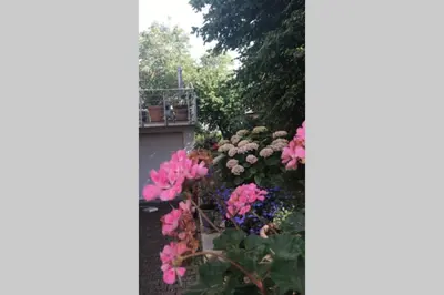 Ein Garten an der Unterkunft Wunderschöne Wohnung mit Blick auf die Weinberge