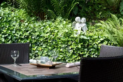 Ein Garten an der Unterkunft Hotel Berg