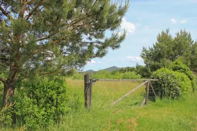 Naturlandschaft in der Nähe der Ferienwohnung
