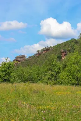 Naturlandschaft in der Nähe der Ferienwohnung