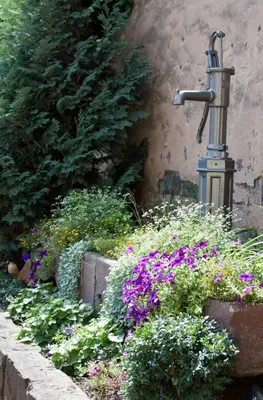 Ein Garten an der Unterkunft Linde Restaurant & Hotel