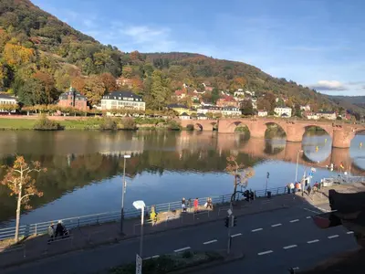 Naturlandschaft in der Nähe der Ferienwohnung