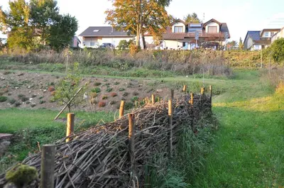 Ein Garten an der Unterkunft Ferienwohnung Altes Pfarrhaus Bargen