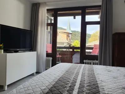 TV/Unterhaltungsangebot in der Unterkunft Gemütliche Ferienwohnung am Kurpark in Bad Herrenalb