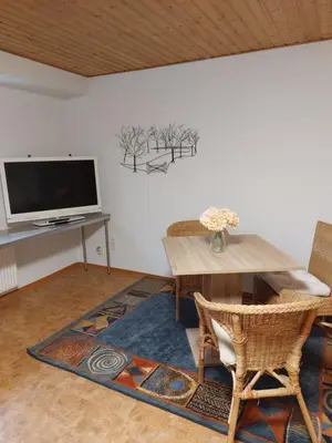 TV/Unterhaltungsangebot in der Unterkunft Ferienwohnung Juco