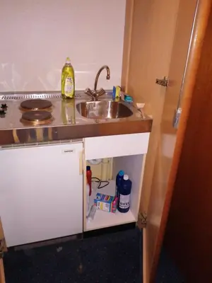 Küche/Küchenzeile in der Unterkunft apartment Lampertheim