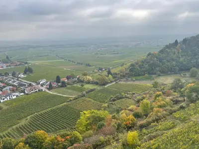 Naturlandschaft in der Nähe der Ferienwohnung