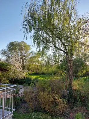 Ein Garten an der Unterkunft Landpartie