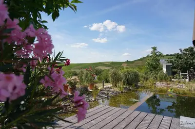 Naturlandschaft in der Nähe des Ferienhauses