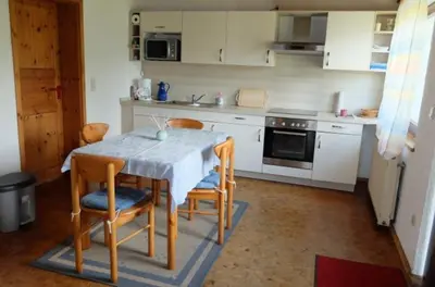 Küche/Küchenzeile in der Unterkunft Haus Alpaka