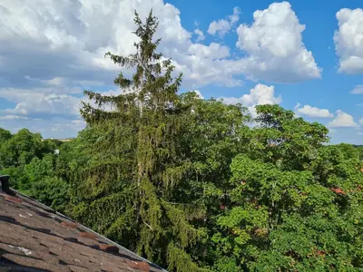 Naturlandschaft in der Nähe der Ferienwohnung