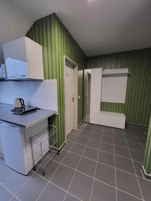 Küche/Küchenzeile in der Unterkunft Appart Hotel Roßdorf